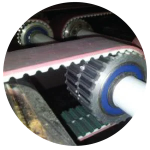 Power transmission timing belt